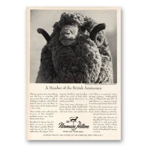 1964 Norman Hilton Fashion Print Ad | British Aristocracy