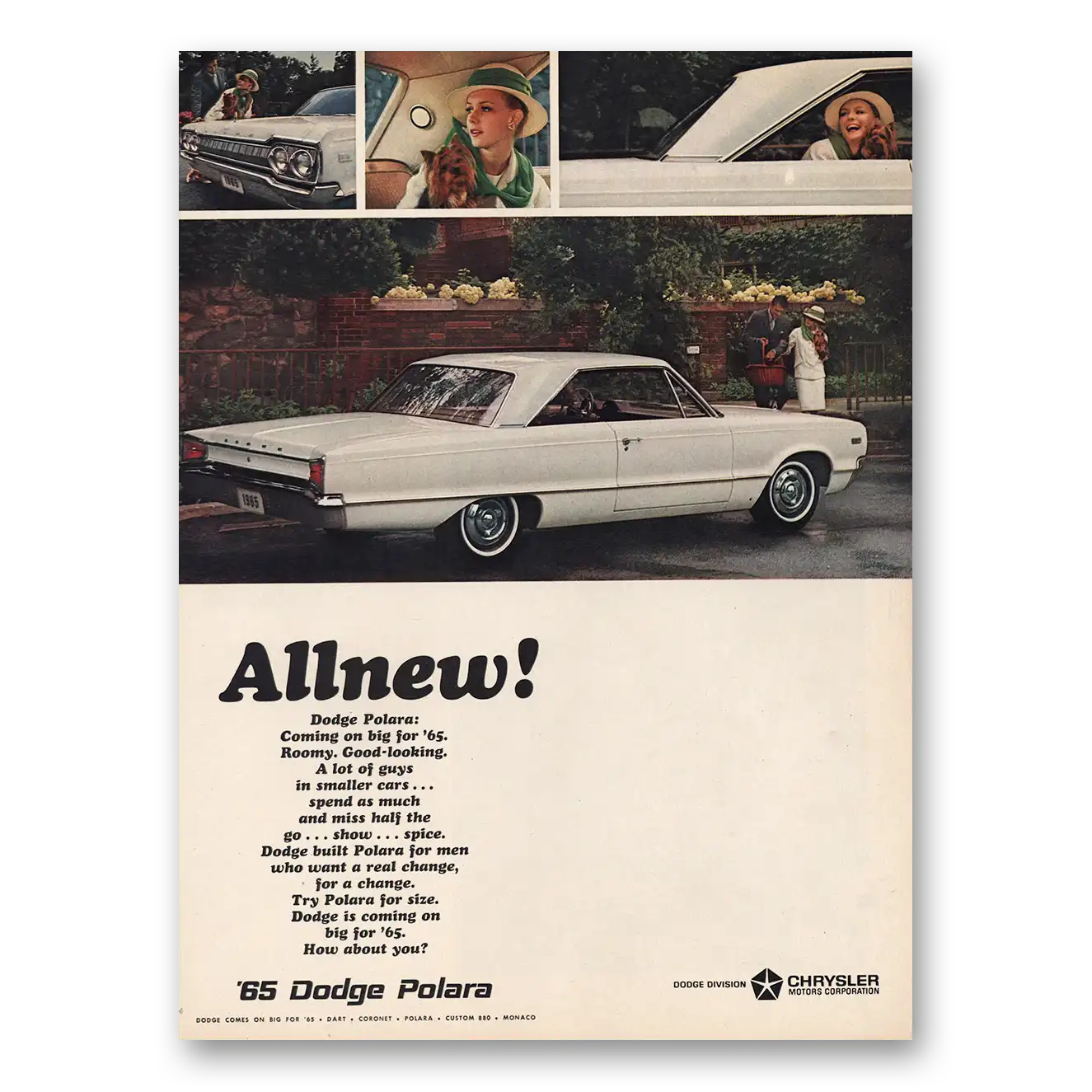 1964 Dodge Polara Print Ad | Roomy