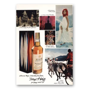 1966 Haig Whisky Print Ad | Celebrating The Season