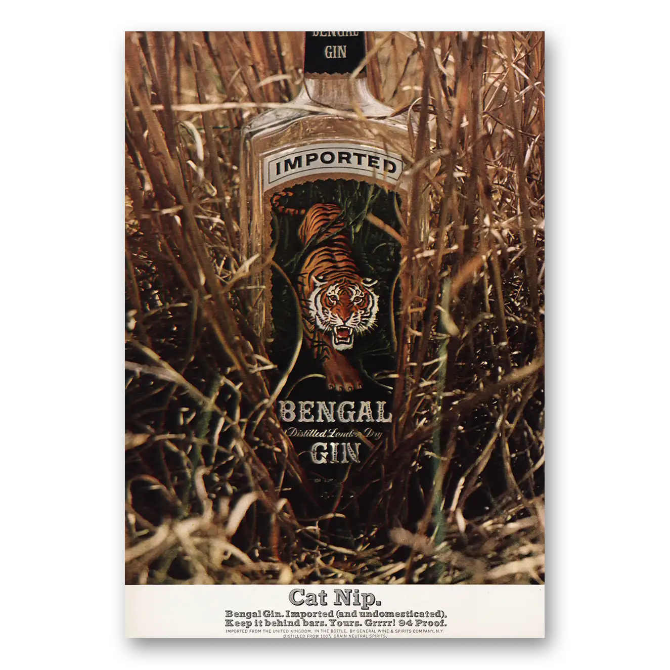 1967 Bengal Gin Print Ad | Cat Nip