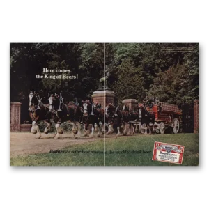 1967 Budweiser Beer Print Ad | King Beers