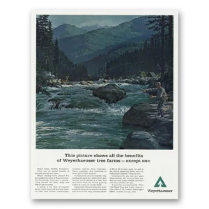 1967 Weyerhaeuser Print Ad | All Benefits