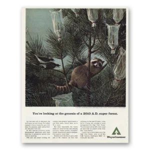 1967 Weyerhaeuser Print Ad | Genesis 2010
