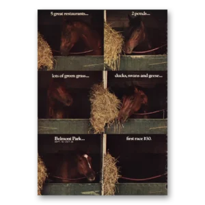 1968 Belmont Park Print Ad | Great Restaurants