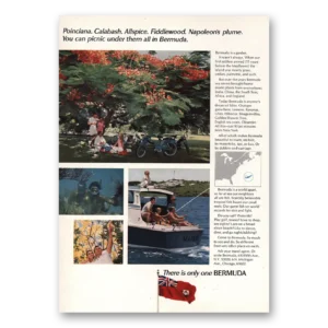 1969 Bermuda Print Ad |  Poinciana Calabash Allspice