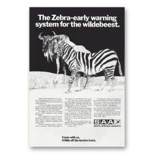 1970 South African Airways Print Ad | Zebra