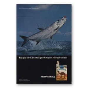 1971 Camel Cigarettes Print Ad | Man Needs Reason To Walk Mile