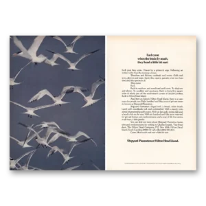 1971 Hilton Head Island Print Ad | Shipyard Plantation