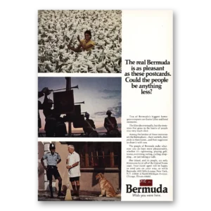 1973 Bermuda Print Ad | Pleasant As These Postcards