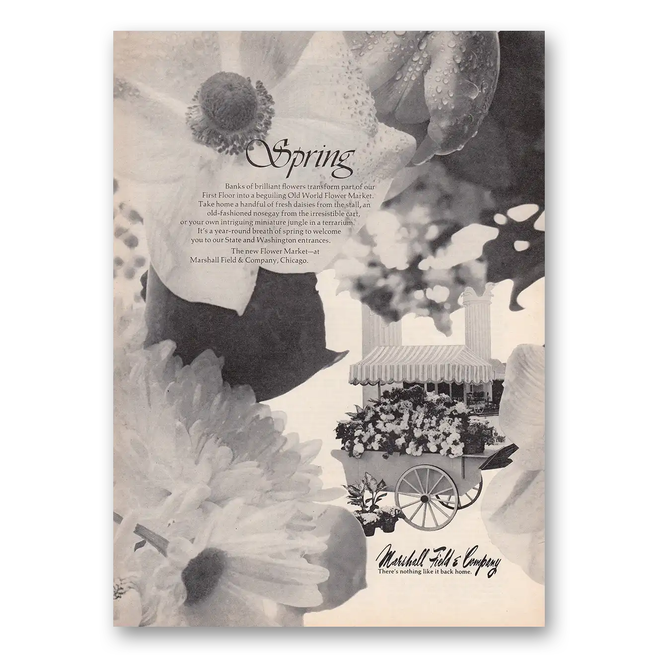 1973 Marshall Field Flower Market Print Ad | Spring Banks