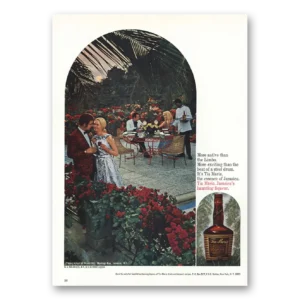 1975 Tia Maria Liqueur Print Ad | More Native
