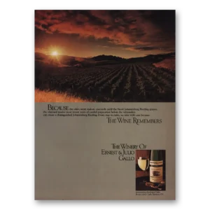 1980 Ernest & Julio Gallo Print Ad | Mature Vineyards