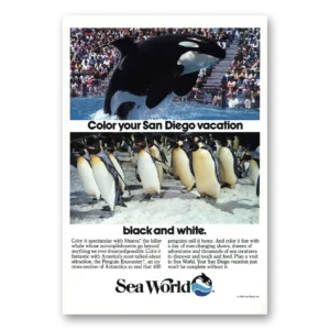 1985 Sea World Print Ad | San Diego Vacation
