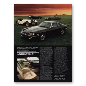 1986 Jaguar XJS Print Ad | Rare Wood