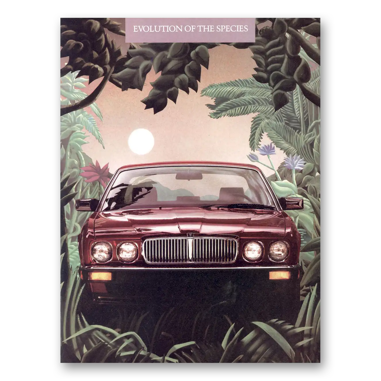 1987 Jaguar Print Ad | Evolution Species
