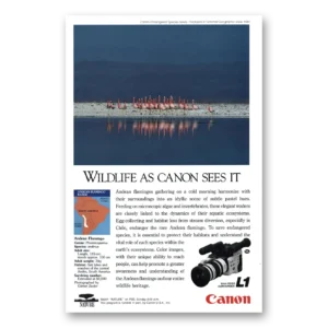 1991 Canon Camera Print Ad | Canon Camera