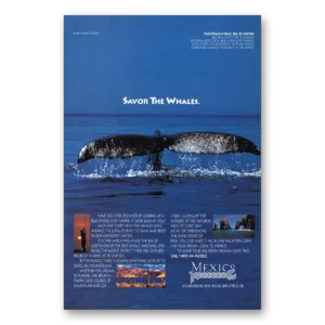 1995 Mexico Print Ad | Savor The Whales