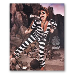 2002 Got Milk Print Ad | Steven Tyler
