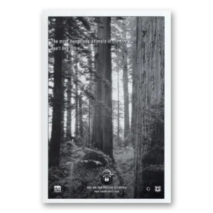 2003 Smokey the Bear Print Ad | Dangerous Animals