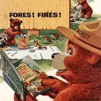 Organization + Charity